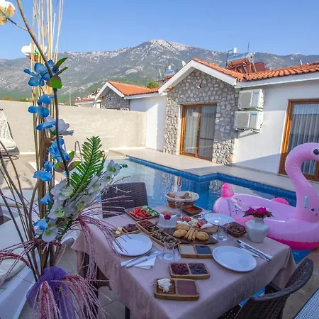 Villa Likya Amber 2+1 Villa, Oezel Havuzlu, Fethiye